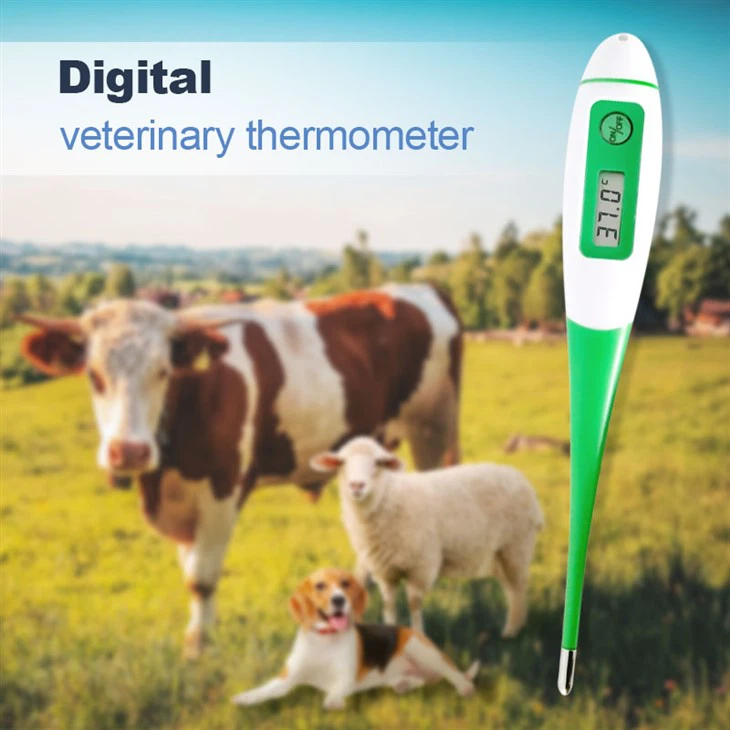 Veterinary Use Thermometer